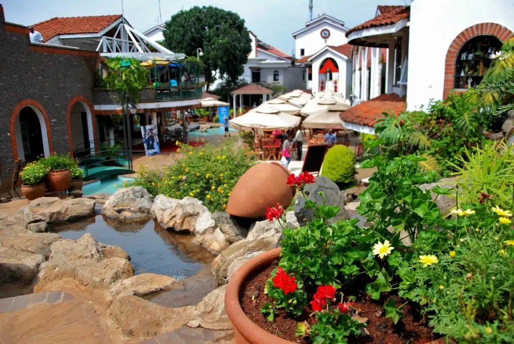 Village Market