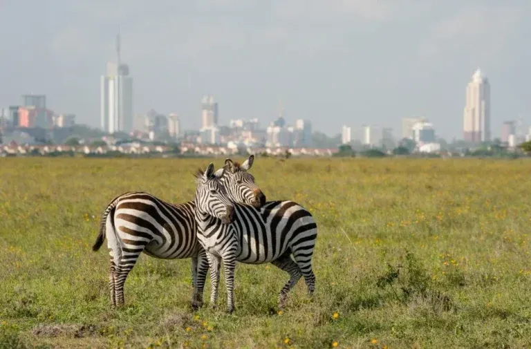 nairobi national park