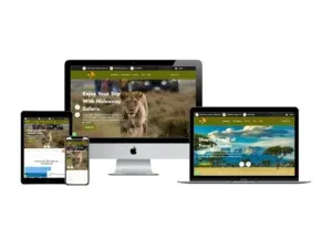 web designer